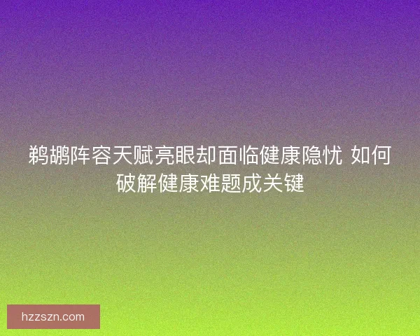 鹈鹕阵容天赋亮眼却面临健康隐忧 如何破解健康难题成关键