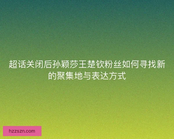 超话关闭后孙颖莎王楚钦粉丝如何寻找新的聚集地与表达方式